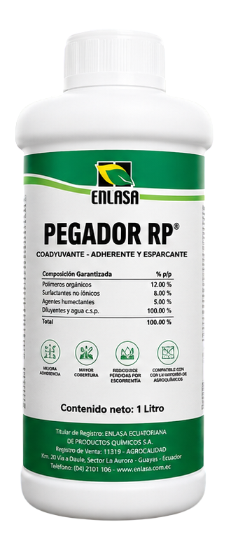 Pegador Rp